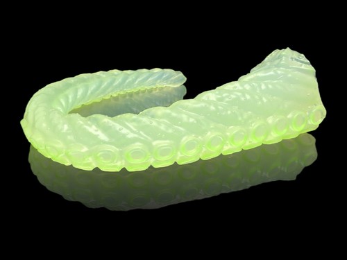 Custom tentacle dildo - dildo, 13.5